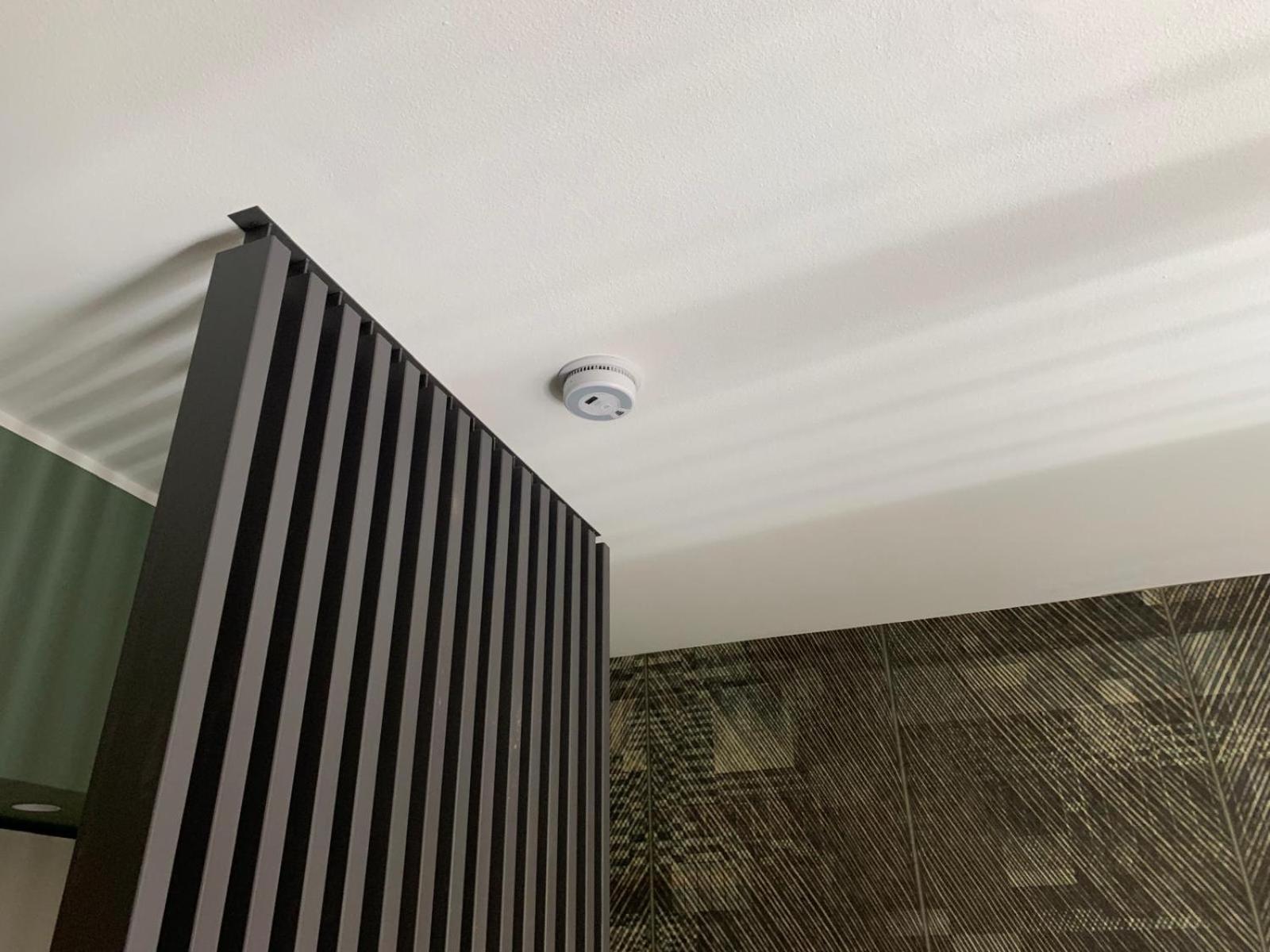 Clorofilla Apartament